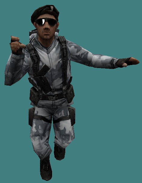 arctic counter-strike 1.6 player model